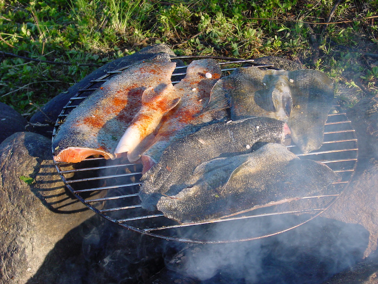 unsere Fischfilets