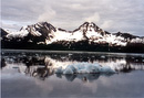 Eisberge und Landschaft