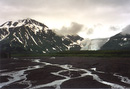 Exit Glacier