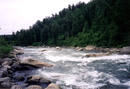 erneut Rapids